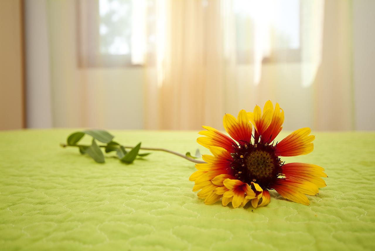 Apartments Valentina-B Nin Εξωτερικό φωτογραφία